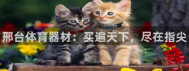 星欧娱乐用户名和密码