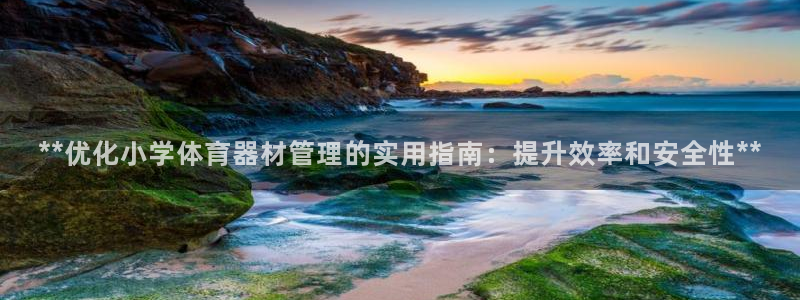星欧娱乐的官方版本更新内容是什么：**优化小学体育器