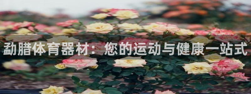 星欧娱乐属于什么档次的公司啊：勐腊体育器材：您的运动