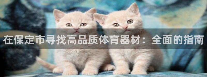 星欧娱乐平台怎么样啊可靠吗：在保定市寻找高品质体育器
