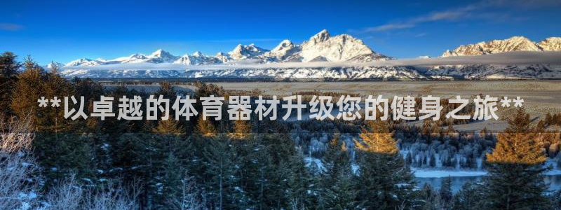 星奥娱乐集团官网：**以卓越的体育器材升级您的健身之