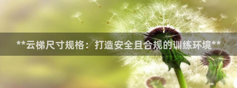 星娱乐online刘亦菲：**云梯尺寸规格：打造安全