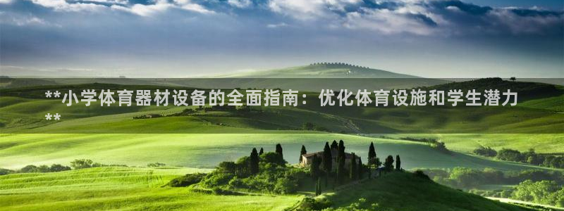 星欧娱乐扣款流程详解图高清：**小学体育器材设备的全