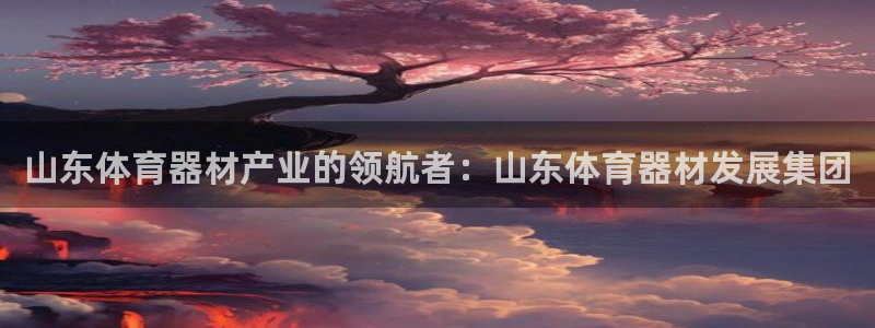 星欧娱乐联最新新闻：山东体育器材产业的领航者：山东体
