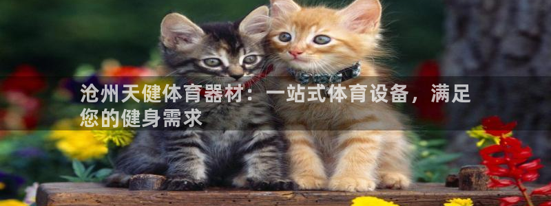 星欧娱乐是正规平台吗知乎推荐