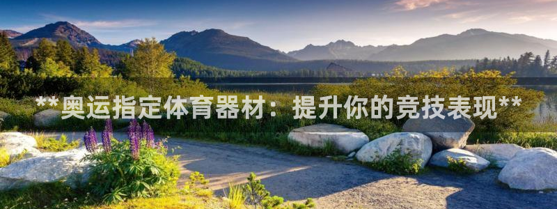星欧娱乐官网首页入口：**奥运指定体育器材：提升你的