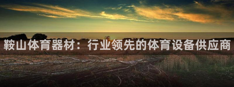 星奥娱乐集团官网：鞍山体育器材：行业领先的体育设备供
