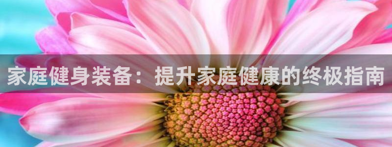星欧娱乐公司创始人背景故事是什么：家庭健身装备：提升