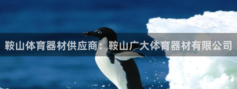 星奥娱乐集团是国企吗：鞍山体育器材供应商：鞍山广大体