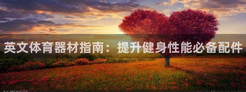 星欧娱乐还能玩吗：英文体育器材指南：提升健身性能必备