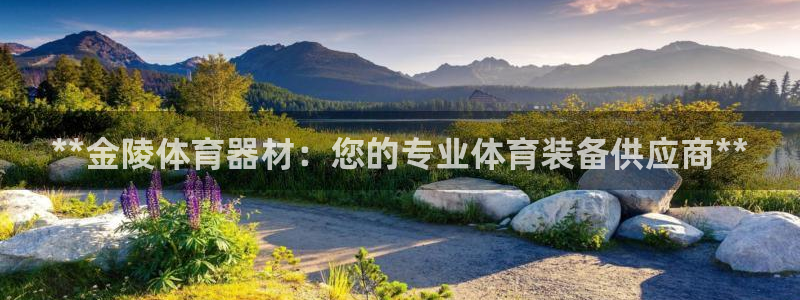 星欧娱乐信存手机版下载：**金陵体育器材：您的专业体