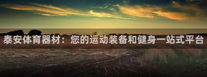 星欧娱乐扣款流程详解视频：泰安体育器材：您的运动装备