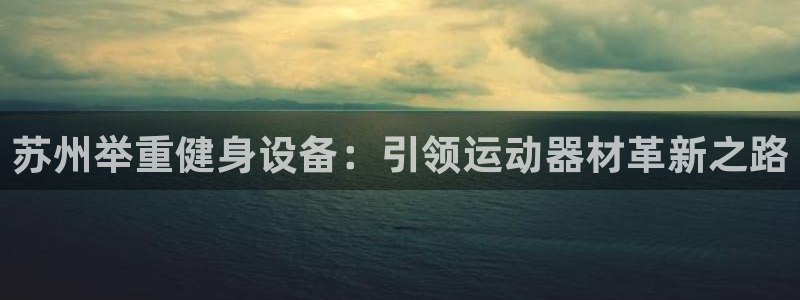 江苏星奥娱乐有限公司：苏州举重健身设备：引领运动器材