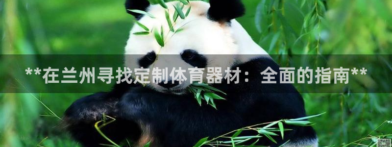 星欧娱乐公司地址：**在兰州寻找定制体育器材：全面的
