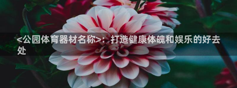 星欧娱乐官方客服联系方式电话：<公园体育器材名称>：
