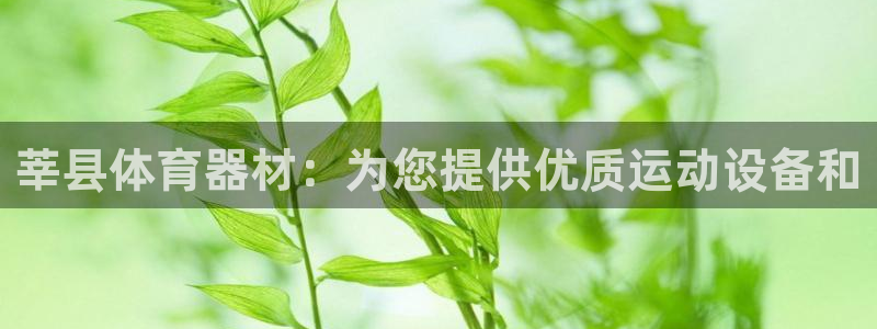 星欧娱乐挂机教程视频：莘县体育器材：为您提供优质运动