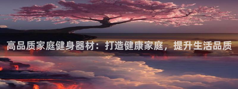星欧娱乐测速：高品质家庭健身器材：打造健康家庭，提升