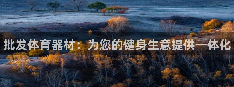 星欧娱乐的官方版本更新内容：批发体育器材：为您的健身