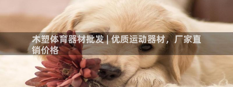 星乐娱乐：木塑体育器材批发 | 优质运动器材，厂家直
