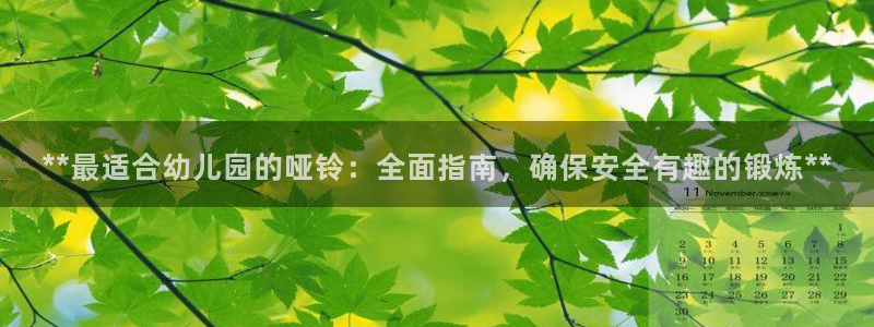星欧娱乐平台怎么样：**最适合幼儿园的哑铃：全面指南