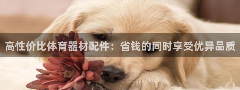 星澳娱乐公司地址：高性价比体育器材配件：省钱的同时享