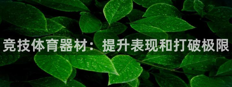 星欧娱乐最建议买的三个产品是：竞技体育器材：提升表现