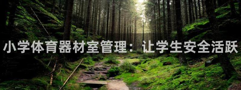 星欧娱乐的官方版本更新内容是什么：小学体育器材室管理