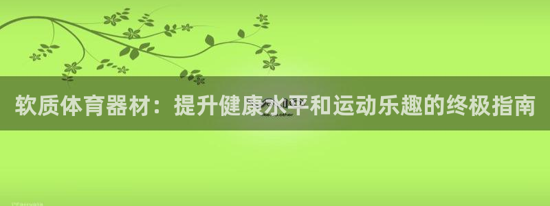 星欧娱乐v8.0.3最新版本更新内容介绍：软质体育器