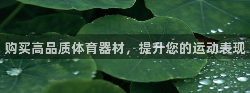 星奥娱乐集团怎么样：购买高品质体育器材，提升您的运动