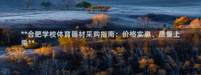 星欧娱乐彩票软件下载安装：**合肥学校体育器材采购指