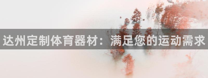 星欧娱乐的创始人背景故事介绍：达州定制体育器材：满足