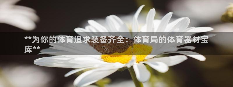 星欧娱乐挂机教程：**为你的体育追求装备齐全：体育局