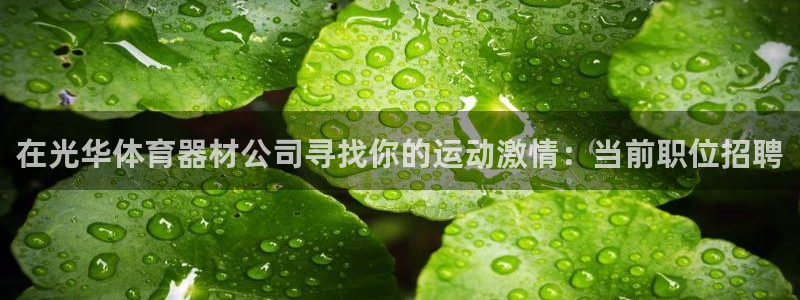 星欧娱乐平台怎么样啊安全吗：在光华体育器材公司寻找你