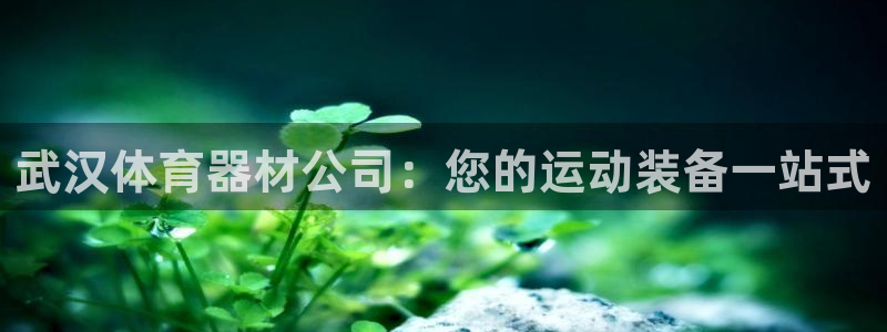 星欧娱乐下载最新版本更新内容：武汉体育器材公司：您的