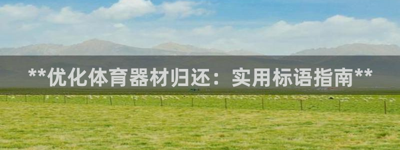 星欧娱乐扣款时间查询方法怎么查不到：**优化体育器材