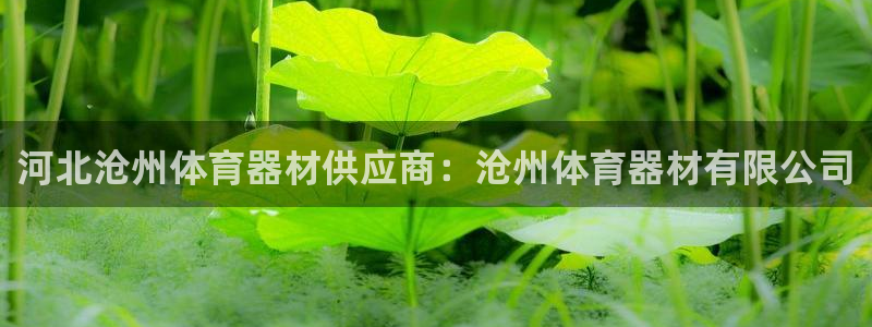星欧娱乐最建议买的三个产品是什么呢：河北沧州体育器材
