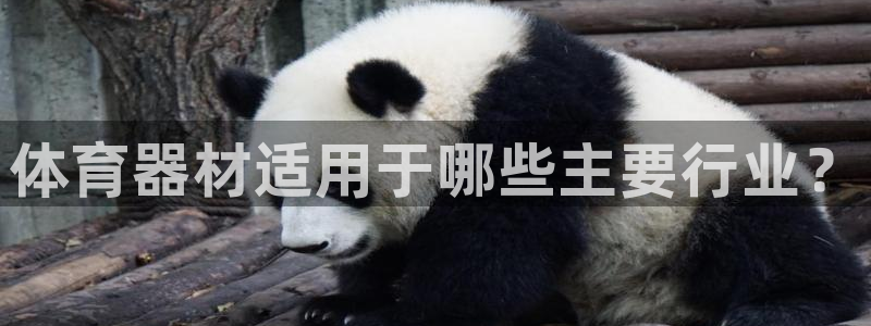 星欧娱乐联4.8.5.6.2.4.3下载：体育器材适