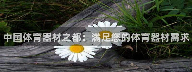 星欧娱乐最建议买的三个产品是什么呢：中国体育器材之都