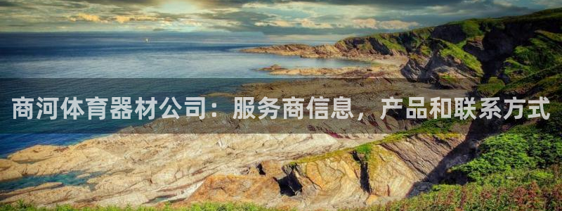 星澳娱乐公司怎么样：商河体育器材公司：服务商信息，产