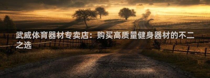 星欧娱乐属于什么档次的公司：武威体育器材专卖店：购买