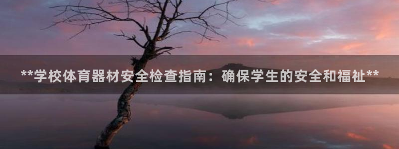 星欧娱乐信存手机版下载：**学校体育器材安全检查指南