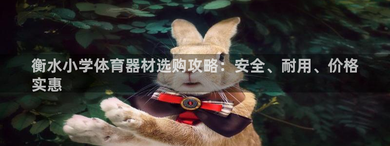 星欧娱乐最建议买的三个产品是什么意思：衡水小学体育器