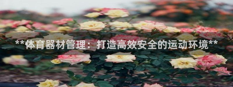 星欧娱乐总代.直开.中国：**体育器材管理：打造高效