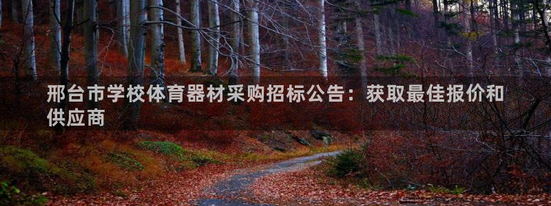 星游娱乐下载地址：邢台市学校体育器材采购招标公告：获