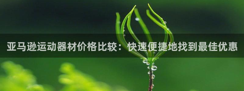 星欧娱乐挂机赚钱：亚马逊运动器材价格比较：快速便捷地