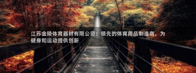 星欧娱乐的创始人背景故事：江苏金陵体育器材有限公司：