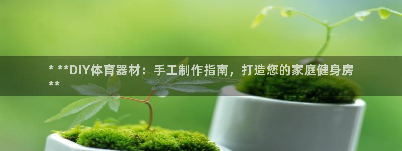 星欧娱乐退款电话人工服务：* **DIY体育器材：手