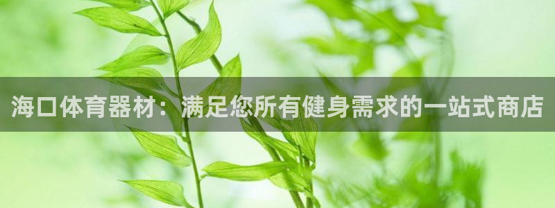 星欧娱乐挂机赚钱是真的吗：海口体育器材：满足您所有健