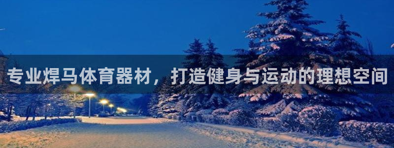 星欧娱乐下载最新版本更新内容：专业焊马体育器材，打造