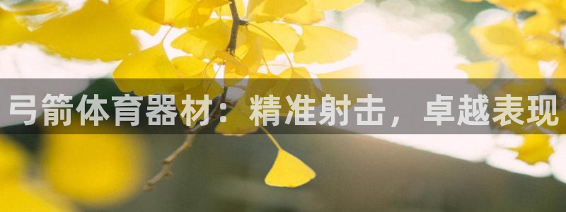星欧娱乐联最新新闻：弓箭体育器材：精准射击，卓越表现
